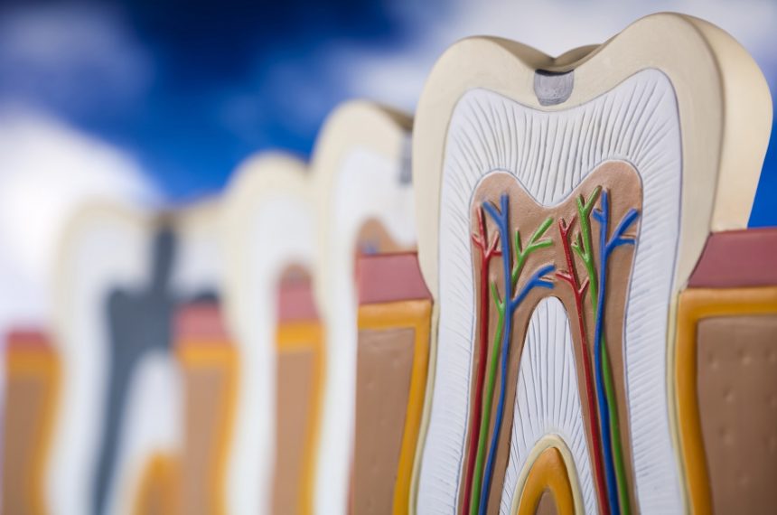 What is root canal treatment?